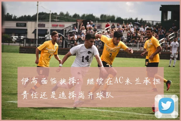 伊布面临抉择：继续在AC米兰承担责任还是选择离开球队