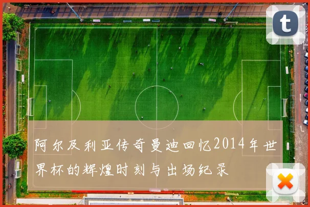 阿尔及利亚传奇曼迪回忆2014年世界杯的辉煌时刻与出场纪录
