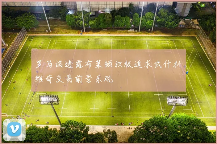 罗马诺透露布莱顿积极追求武什科维奇交易前景乐观